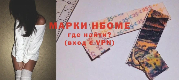 гидра Елабуга