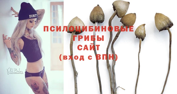 марки nbome Ельня