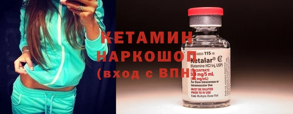 гидра Елабуга