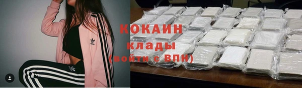 гидра Елабуга