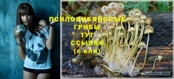 гидра Елабуга