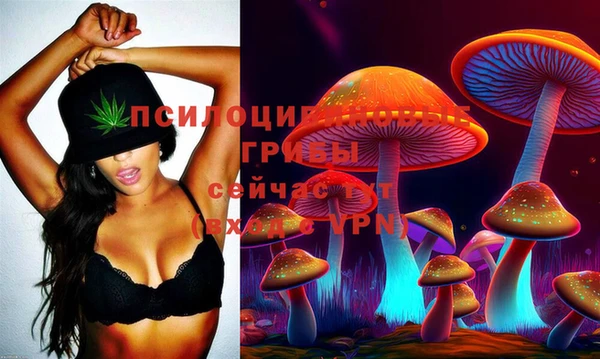 гидра Елабуга
