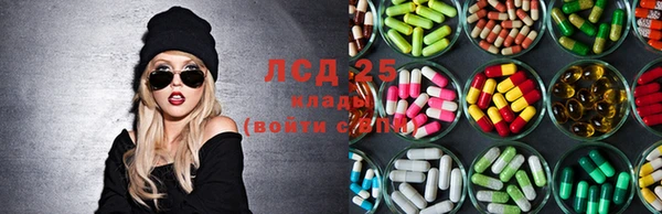 гидра Елабуга