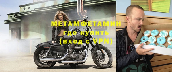 гидра Елабуга