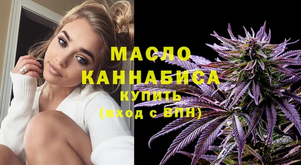 гидра Елабуга