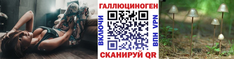 Псилоцибиновые грибы GOLDEN TEACHER  Купить  Андреаполь 